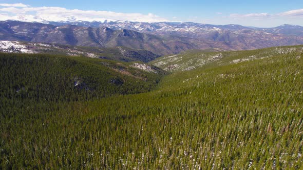 Establishing Aerial Footage Flying Over Vast Wide Open Pine Tree Forest Mountains In Colorado Rocky