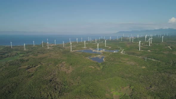 Solar Farm with Windmills