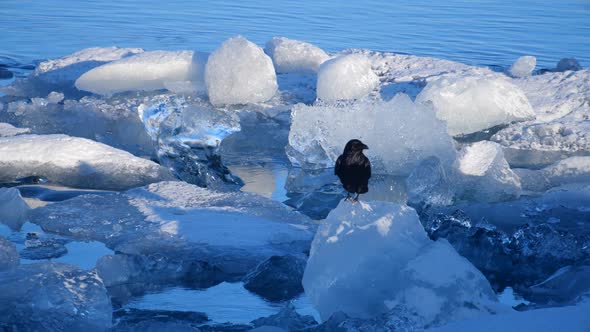 Icebergs at Ice Lake. Ice and Snow Winter Nature Landscape