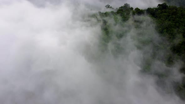 Aerial view low foggy cloud at highland rainforest