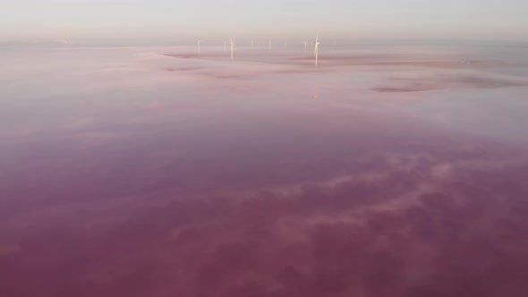 Aerial Drone View To Salt Mineral Lake with Pink Water and Coastline