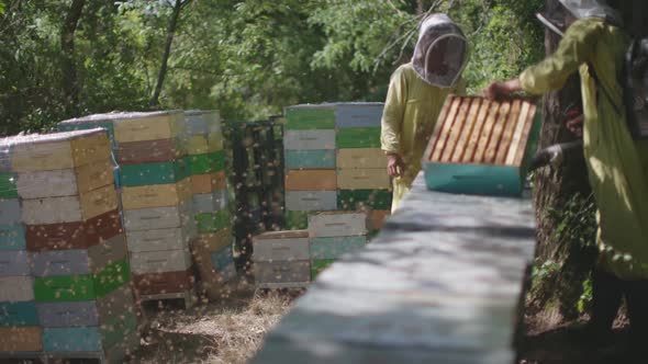 bees are blown out of the hive with a blower - honey is stacked for processing on the firm - beekeep