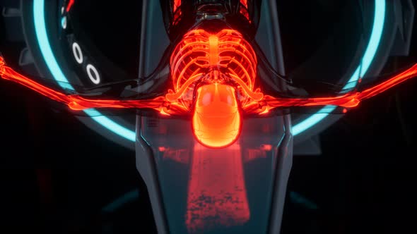 Human Skeleton Bones Scan Exam in Lab alt