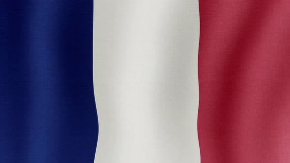 The National Flag of France