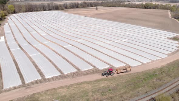 Tractor and agricultural field with plastic mulch