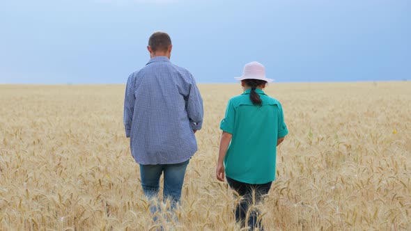 Rear View of Young Farmers Walking in Field with Ripe Wheat Checking Harvest