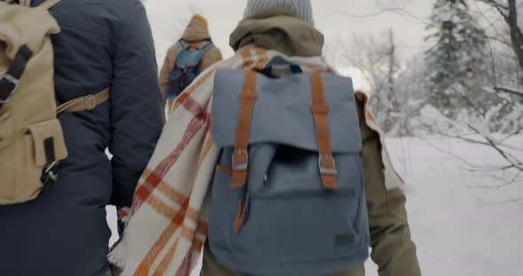 Back View Slow Motion of Couples Walking in Snow in Winter Forest Enjoying Outdoor Activity