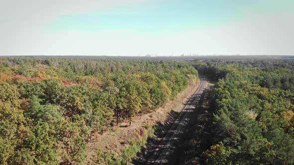 Beautiful forest background with blue sky and empty railway road