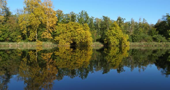 The pond Sainte Perine, Forest of Compiegne, Picardy, France.