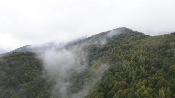 Aerial View of the Carpathian Mountains in Autumn. Ukraine