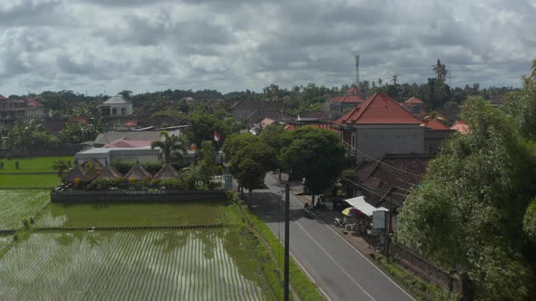 Descending Pedestal Aerial View of an Irrigated Rice Field on the Side of the Street