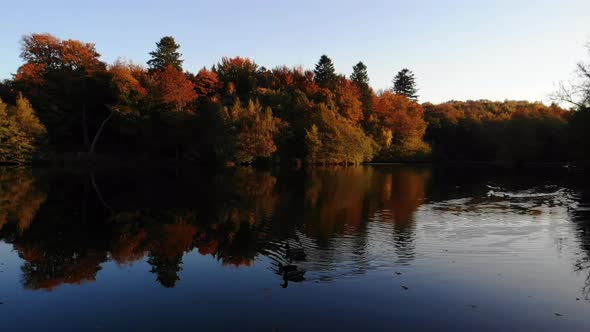 Aerial view of beautiful lake with seabirds and trees with autumn colours in Sealand, Denmark