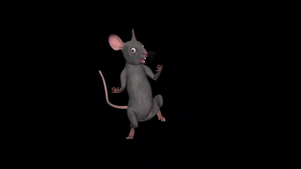 Funny Rat - Dance Loop - IV
