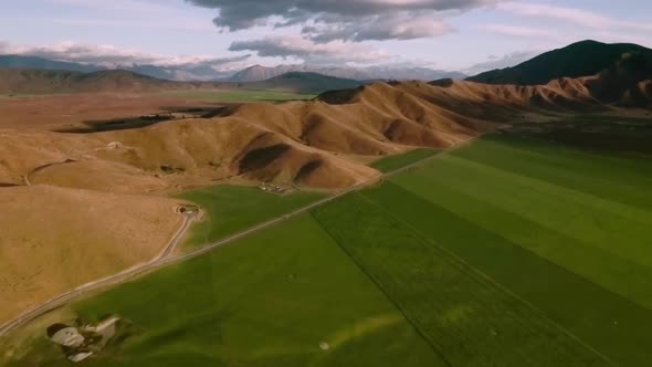Green fields in New Zealand