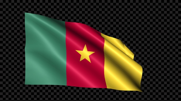 Cameroon Flag Blowing In The Wind