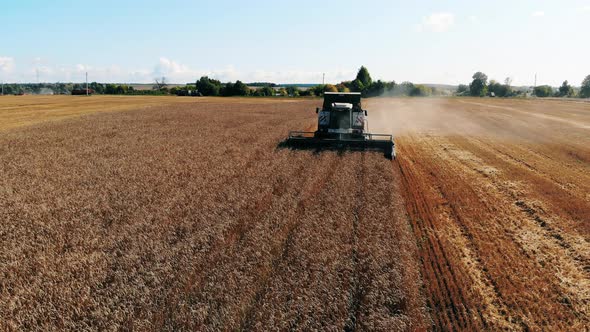 Plowing Machine Drives on a Big Field. Aerial View of Modern Combine Harvesting Wheat