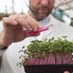 Scientist Pours the Liquid From the Test Tube Into the Greenery Seedlings - VideoHive Item for Sale
