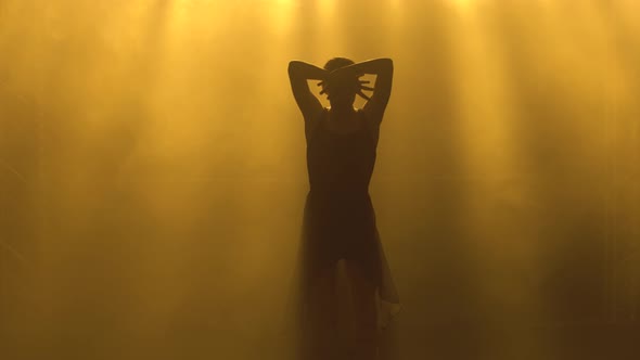 Professional Ballerina Dancing Ballet in Spotlights and Smoke on Stage. Silhouette of a Beautiful