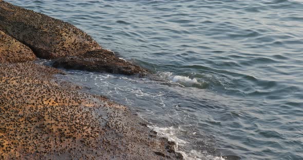 Beautiful sea and shore with wave