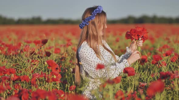 Ukrainian Girl Collecting and Smelling a Bouquet of Poppies in a Field of Poppies