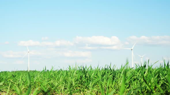 Wind turbines and green plants