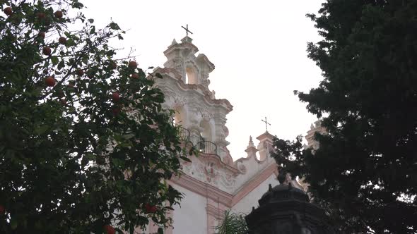 Church towers seen through trees