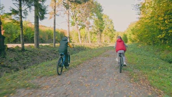 Children Ride Bicycles Near the Forest