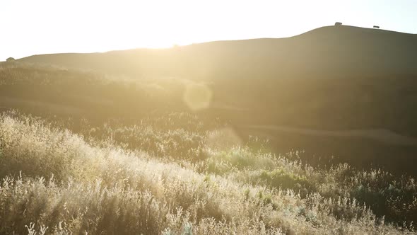 Sunset Over the Valley Fields