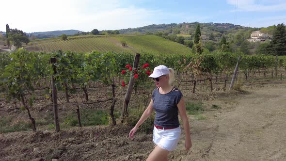 Vineyards of Winegrowing Tuscany