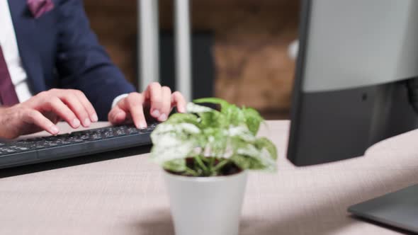 In Modern Office, at a Desk, a Businessman Is Writing an E-mail