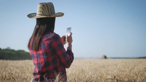 Pretty Young Woman with Tablet Computer Working in Wheat Field at Sunset. The Girl Uses a Tablet