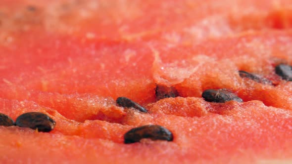 Red Ripe Sliced Watermelon Rotating