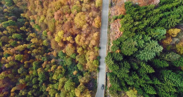 Overhead Aerial Top View Over Road in Colorful Countryside Autumn Forest