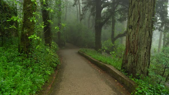 Pena Park - Forested Grounds that Contains Highest Peak in Whole Sintra