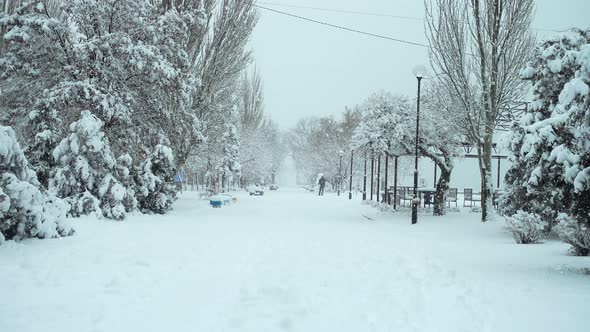 City in the Winter 2