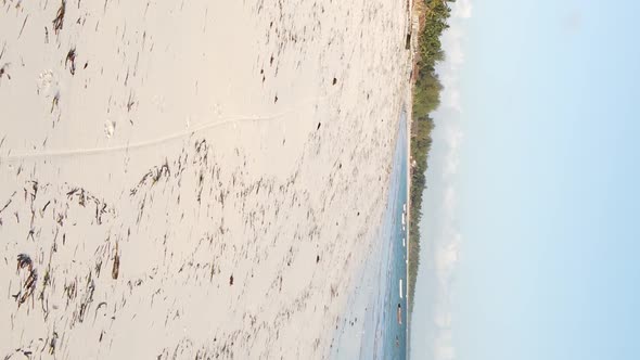 Vertical Video Empty Beach on Zanzibar Island Tanzania Aerial View