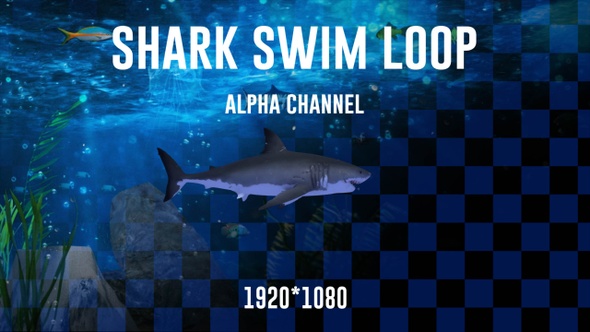 Shark Swim Alpha Loop alt