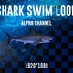 Shark Swim Alpha Loop - VideoHive Item for Sale