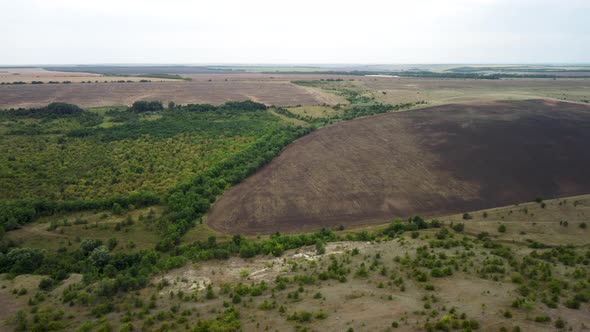 Wheat Fields Aerial View