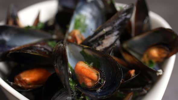 Mussels 31