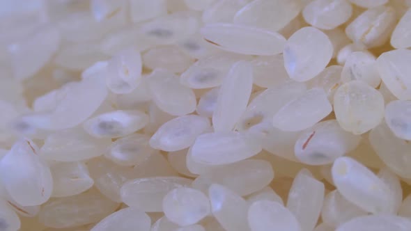 Grains of Raw Rice Rotate Close-up