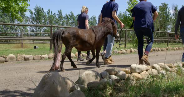 Medical team walking with foal near farm 4k