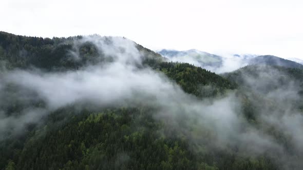 Ukraine, Carpathians: Fog in the Mountains. Aerial