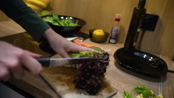 Hands of Female Chef Cutting Green Salad