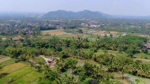 Aerial forward over cultivation and rice fields in Ngawen village countryside, Muntilan in Indonesia
