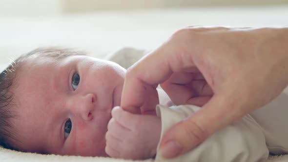 Close-up portrait of a young baby who has recently been born.