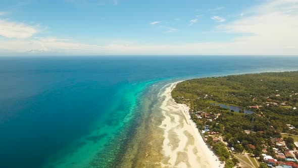 Tropical Beach and Turquoise Sea PhilippinesBohol