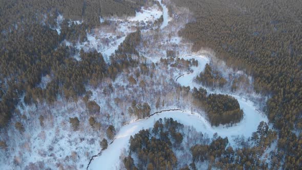 Aerial  Shot of Beautiful Winter Forest