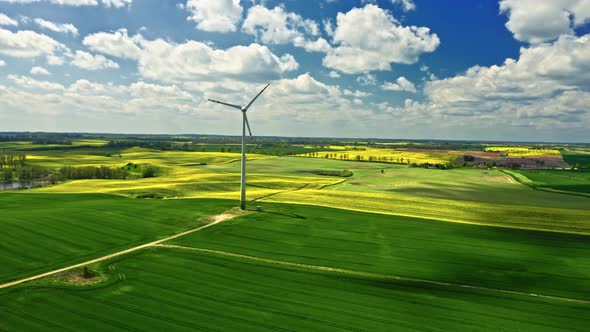 Stunning yellow rape fields and wind turbine. Poland agriculture.