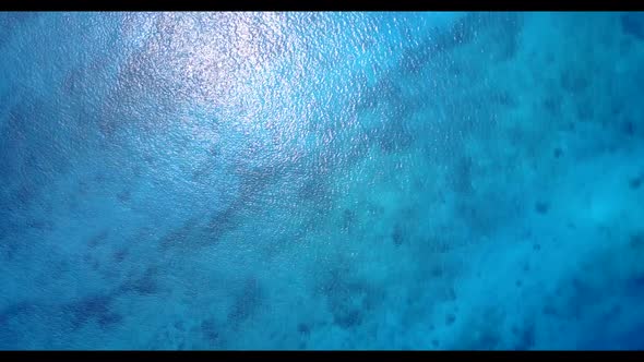 Aerial travel of idyllic coast beach wildlife by blue sea with clean sandy background of a picnic ne